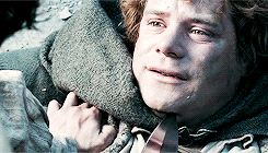 ianmckellen:  lotr meme: six bro/otp’s (2/6) → Frodo and Sam &ldquo;I made