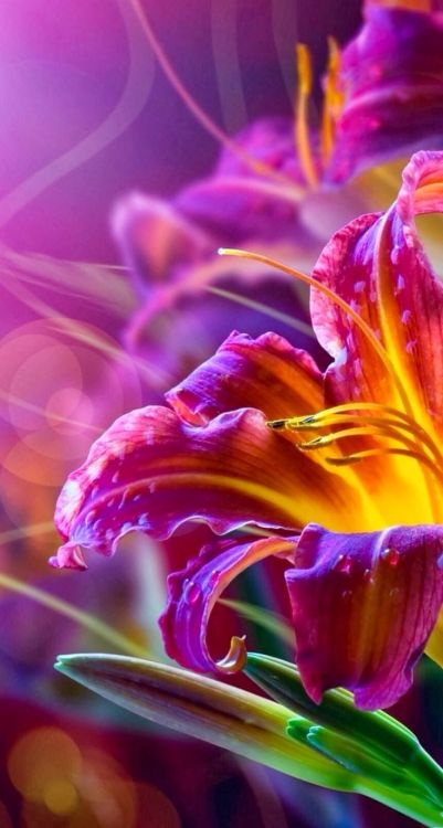 My Colorful World