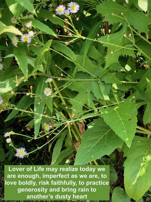 Lover of Life may we realize today we are enough, imperfect as we are, to love boldly, to risk faith