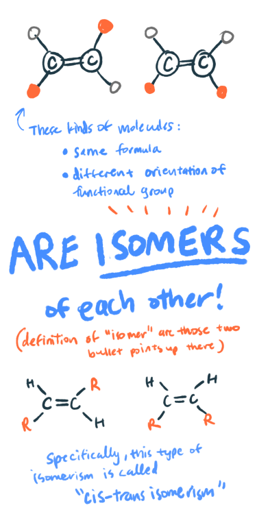 cyclopentadiene:  atomicallena:  scienceforebreakfast:  One example of how big a role isomers can play is talked about here: Radiolab: Mirror Mirror.  Some fantastic illustrations explaining the basic concepts regarding cis and trans.  Just a few things
