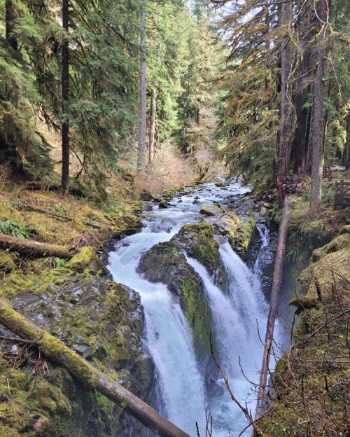 visitportangeles:  The majestic #SolDucFalls as captured by @charliedorocha for #WaterfallWednesday 🤩  #VisitPortAngeles #OlympicNationalPark https://instagr.am/p/CdKTzSmrcD8/   One of my favorite short hikes in ONP! One of the best places for hiking