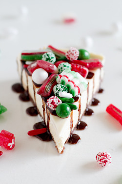 gastrogirl:  festive new york-style cheesecake. 