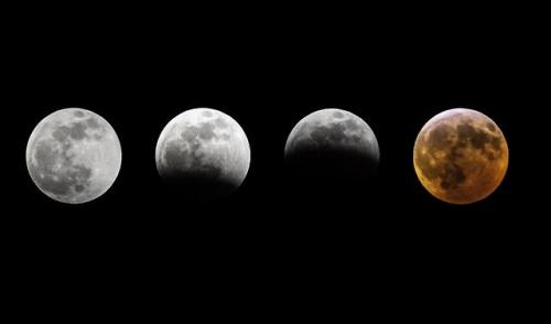 photos-of-space: [OC] Super blood wolf moon shot from my backyard in Grand Rapids, MI
