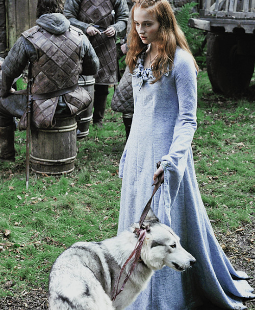 Sansa Stark MonthDay 2 - DirewolfA time for wolves