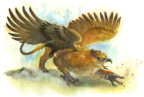 Griffon, By Emily Fiegenschuh