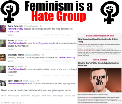 ohheyitsshanaj:  logicd:  funny because its true  If anyone ever asks me again why I am anti-feminism and support egalitarianism instead, I will link them directly to this post. This is not just the “bad” feminists. This is the face of your movement.