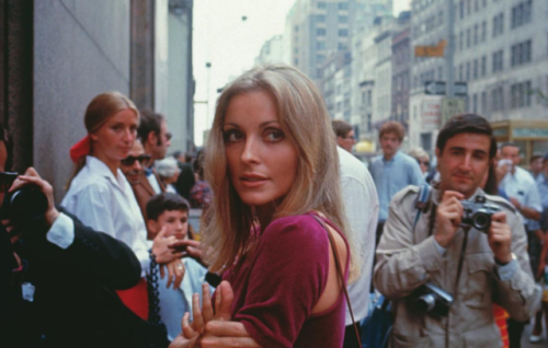 my-retro-vintage:Sharon Tate​ visiting the set of ‘Rosemary’s Baby’   Ne