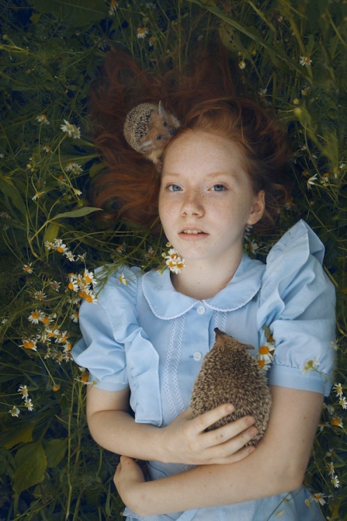 f-l-e-u-r-d-e-l-y-s:  . Katerina Plotnikova  on Tumblr Katerina Plotnikova is a fine art photographer from Russia who explains her work as “another tale about wonderland.” Her images are simple, yet stunning. Welcome to the magical land of Katerina.