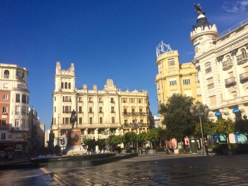 Por la mañana temprano, Plaza de las Tendillas, Córdoba, 2016.Spain is not a morning country! 