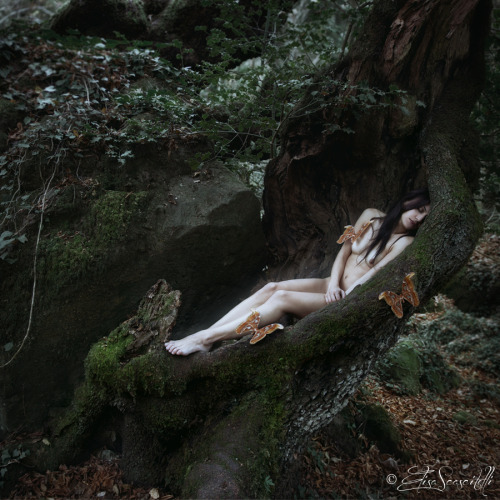 elisascascitelli:“Nymph in the Cradle of the Moths”© All rights reserved. Use witho