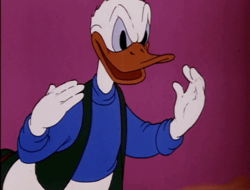 Studio Bones Animators Looking At The New Chapters: