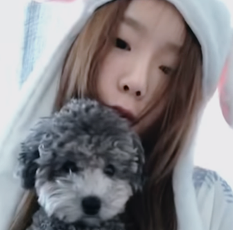(taeyeon icons)┊like If You Saved. 