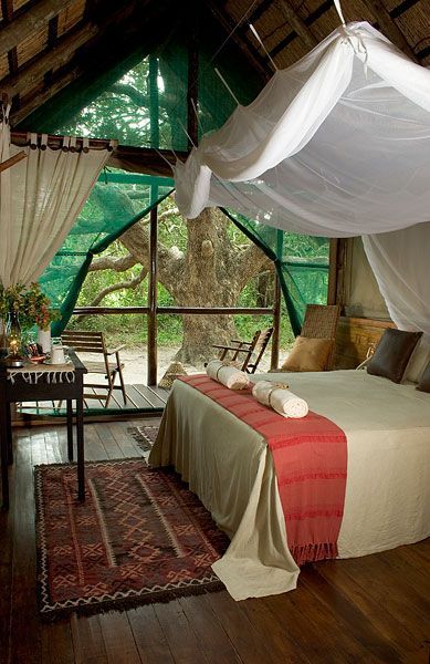 worlds-evolution:  Kosi Forest Lodge, KwaZulu-Natal, South Africa. I wouldn’t mind