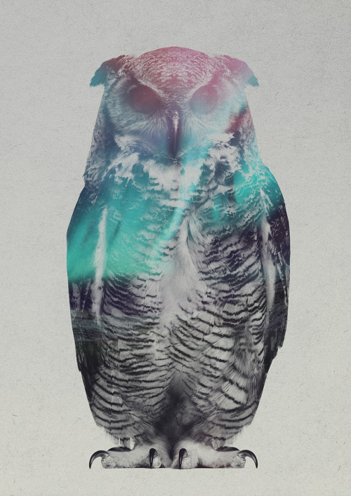 awesome-picz:  Double Exposure Portraits Of Animals In The Aurora Borealis.