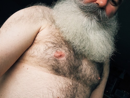 animbear: ChestyTuesday.