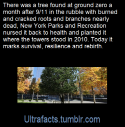 ultrafacts:  Source: [x] Follow Ultrafacts for more facts! 