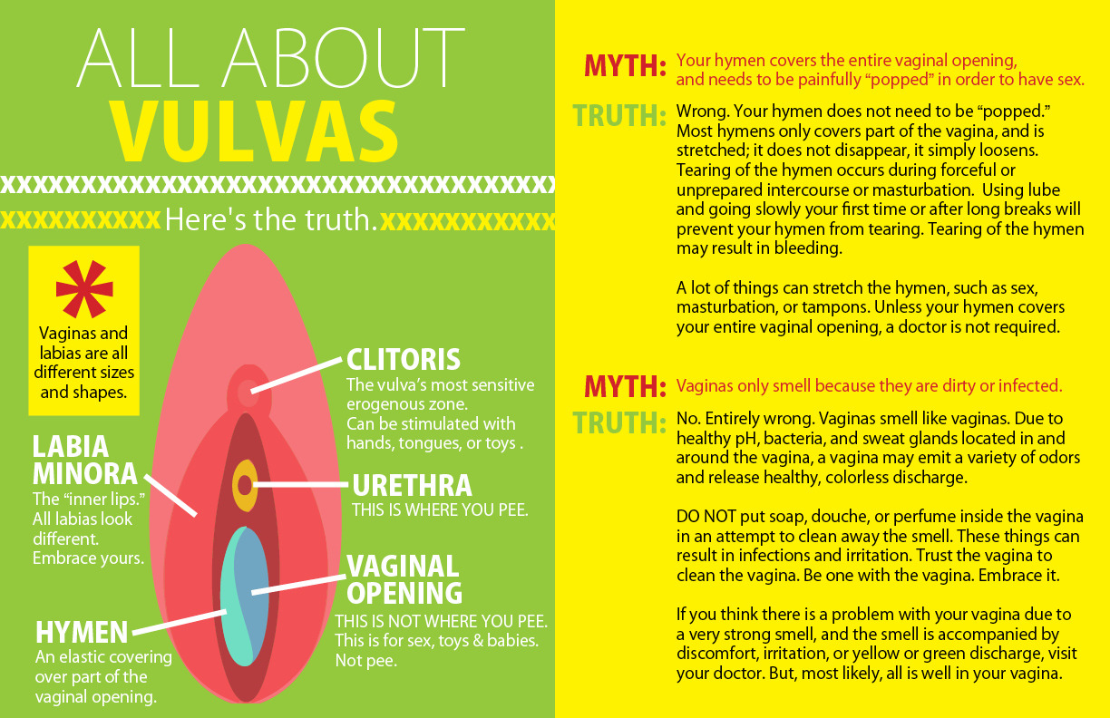 haveagaydayorg:  asexual-not-a-sexual:  Here is a brief guide to some of the important