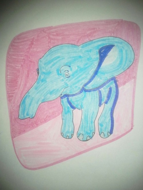 Animals. I Like Them. ;o