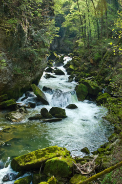 expressions-of-nature:Areuse River, Switzerland by Susanne