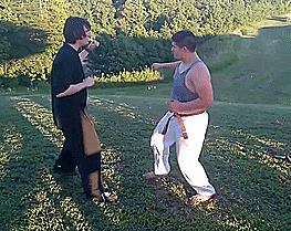 heroofomegle:  Shaolin Bird Kung Fu (video) 