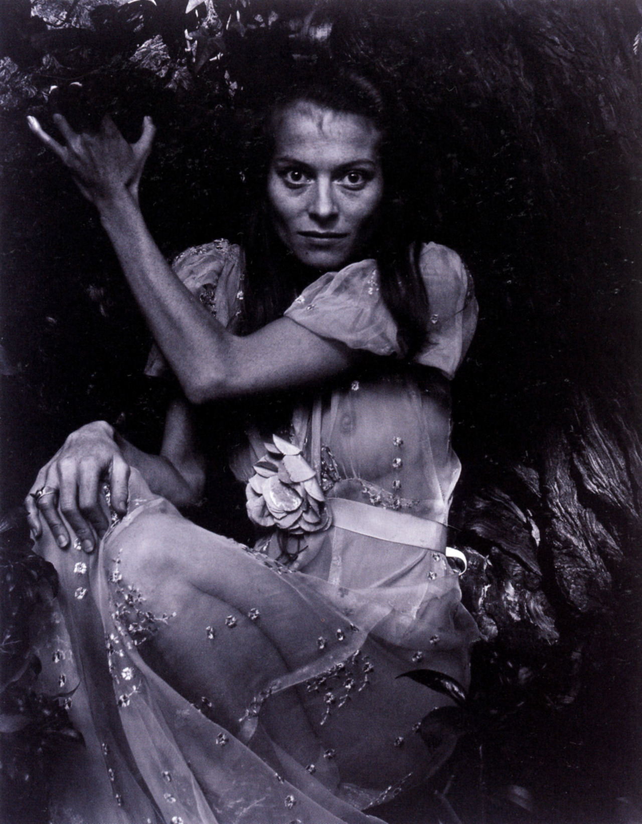 twinka thiebaud on tumblr twinka thiebaud on tumblr