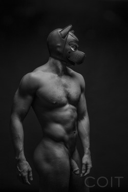 ryancoitphotography:  Muscle Pup - Ryan Coit 