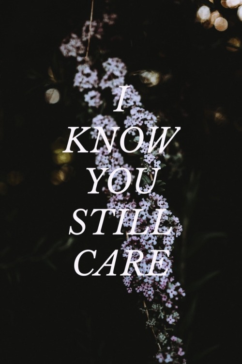 Dance Gavin Dance // Care