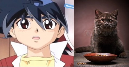 Bladers As Kittens
