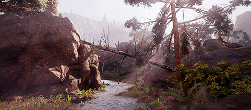 dreadwolves:The entire country reeks of wet dog. How charming.