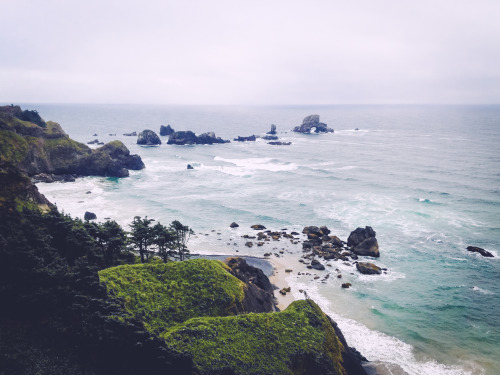 leahberman: Oceans apart, waves are running in Ecola State Park, Oregon instagram