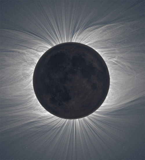 XXX itscolossal:  Solar corona captured by Miloslav photo