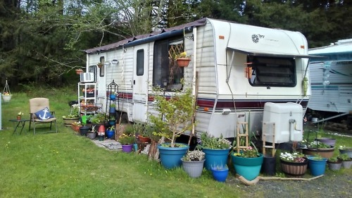 captainmazzic:maritimesarcophagus:This is my houseSpring gardening always looks a little sparse sinc