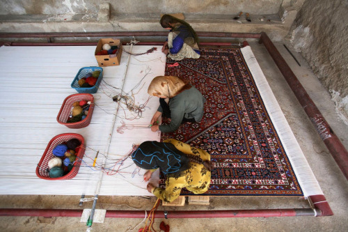 coolthingoftheday:A group of women hand-weaving a carpet in Iran.