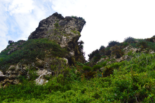 konfictura:  Cliffs.