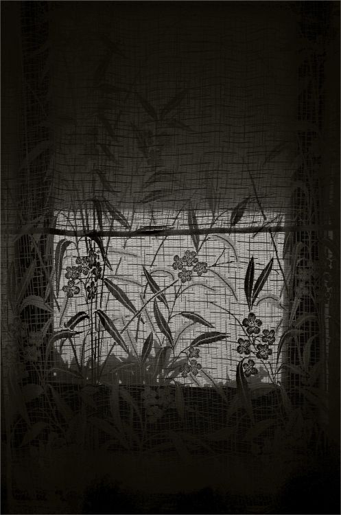 yama-bato2:©yama-bato