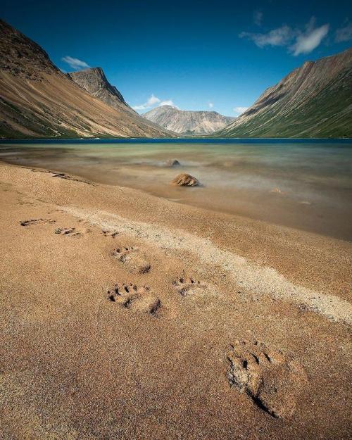 paulzizkaphoto: Flying back to the mythical Torngat Mountains today. Looking forward to showing @DaveBrosha and our 8 participants why the Torngats are one of the most amazing places on Earth. See you in a week! :-) #WildlyCreative #ExploreNL Tourism