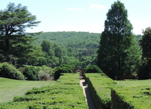 Boxwood Allee Leading Toward the Formal Garden, Montpelier, Orange County, Ole Virginny, 2014.The fo