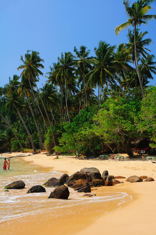 tropicaldestinations: Mirissa Beach, Sri Lanka (by Aaron Geddes) - www.tropicaldestinations.i