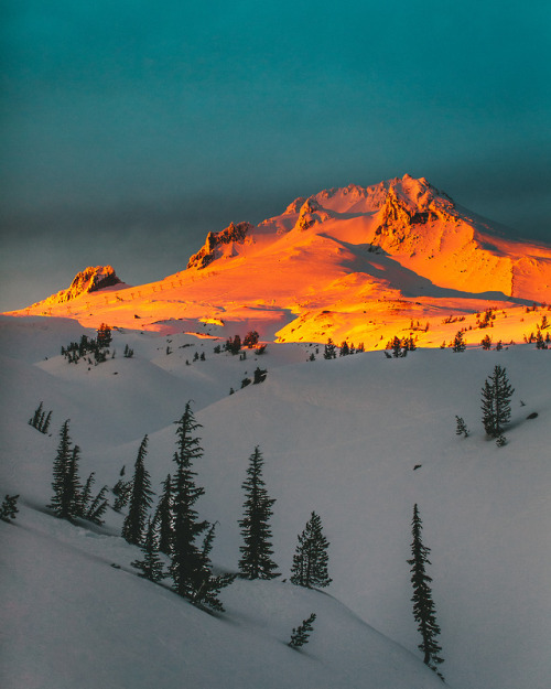 nicholaspeterwilson:Mount Hood.By Nicholas Peter WIlson