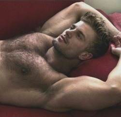 Hairy Men Heaven