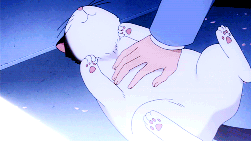 biddygal:  massivelyfattening:  date someone who will rub your belly after a big