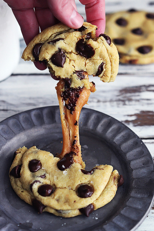 itsjustonesimplephrase:  lttlelion:  fullcravings:  Salted Caramel Chocolate Chip Cookies  omg  gloriousruins- oh my god