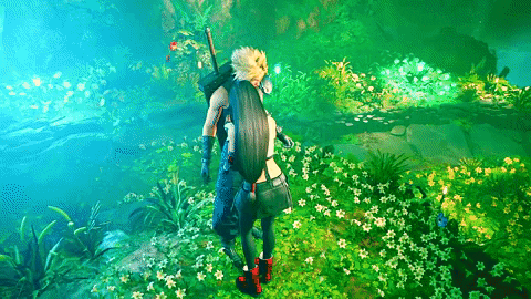 brieflyfantasy503: “I tried to keep it alive as long as I could. But now, it’s dead and 