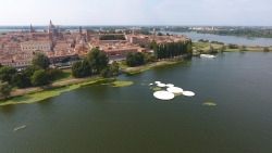 nevver:  Arcipelago di Ocno, Mantova, Italy