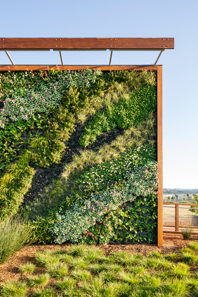 wglandscape:  Bay Meadows Welcome Center. Living wall by Habitat Horticulture. source