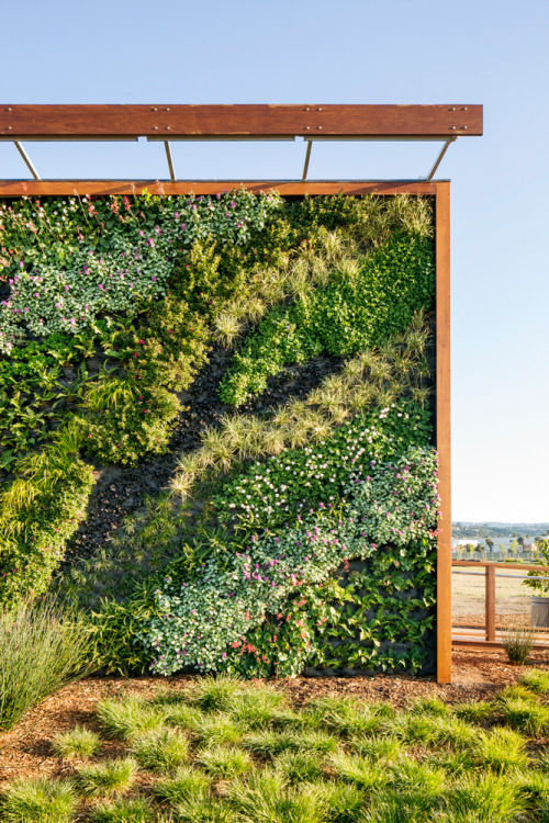 wglandscape:  Bay Meadows Welcome Center. Living wall by Habitat Horticulture. source 