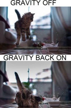 9gag:  Gravity on &amp; off 