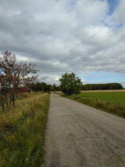 🍃🍂🌿🍁🌿🍂🍃