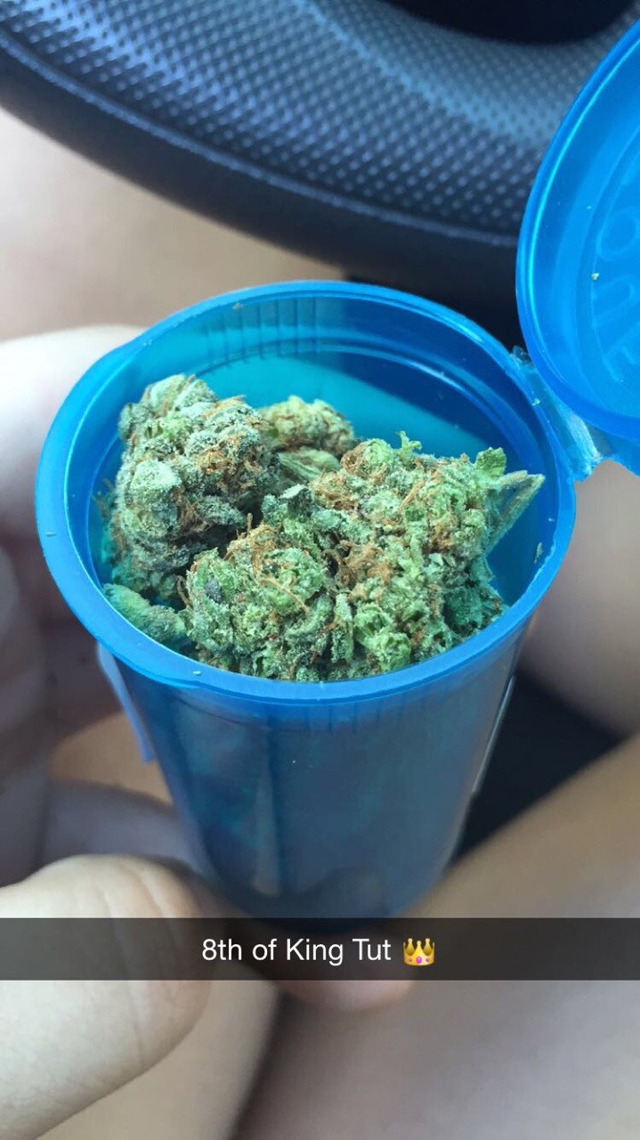 veraisastoner:  veraisastoner:  What my story is looking like ✨ Had some fun today,