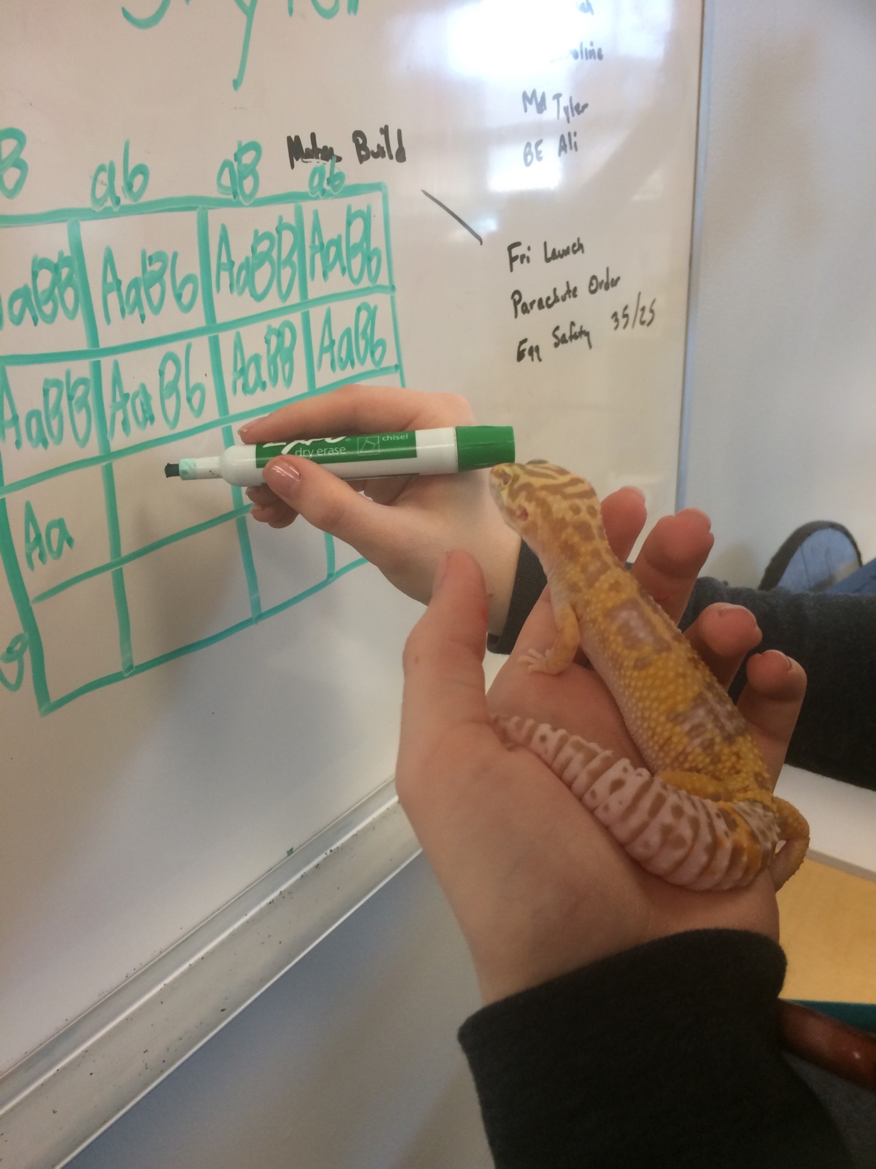 spacesnek:  she’s learning genetics 